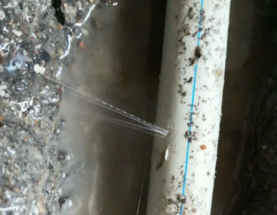 长海测漏水哪家好