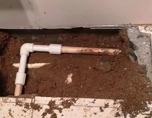 长海测漏水哪家好