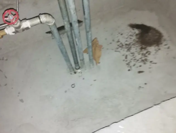 长海卫生间测漏水价格明细