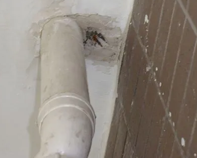 长海漏水检测哪家好